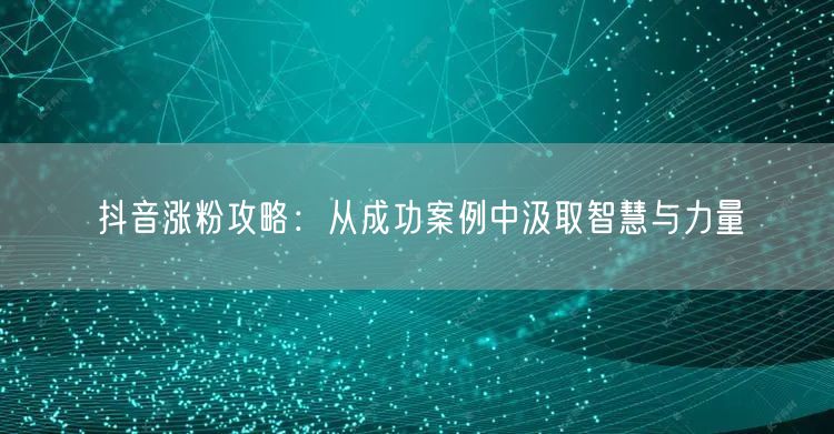 抖音涨粉攻略：从成功案例中汲取智慧与力量