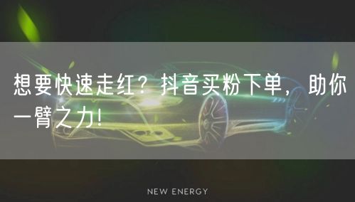 想要快速走红？抖音买粉下单，助你一臂之力！