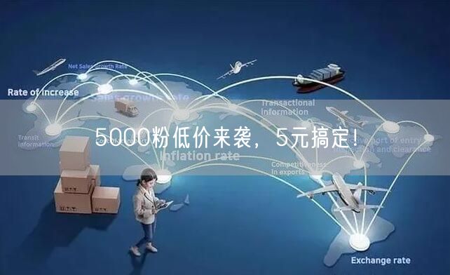 5000粉低价来袭，5元搞定！