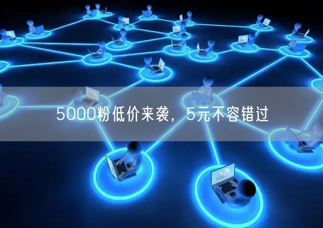 5000粉低价来袭，5元不容错过