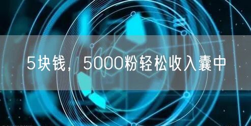 5块钱，5000粉轻松收入囊中