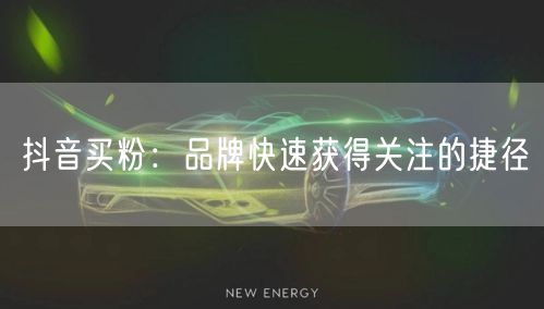 抖音买粉：品牌快速获得关注的捷径