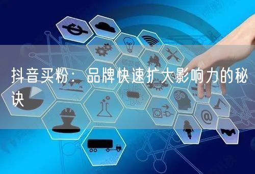 抖音买粉：品牌快速扩大影响力的秘诀