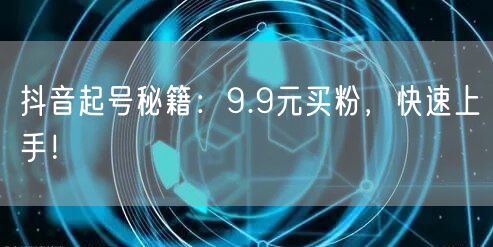 抖音起号秘籍：9.9元买粉，快速上手！