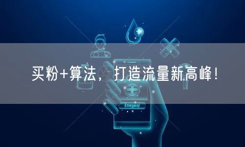 买粉+算法，打造流量新高峰！