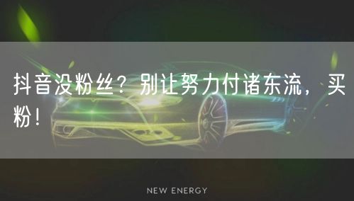抖音没粉丝？别让努力付诸东流，买粉！