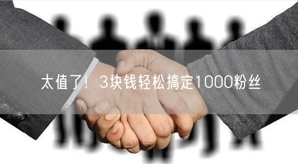 太值了！3块钱轻松搞定1000粉丝