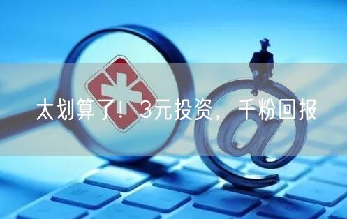 太划算了！3元投资，千粉回报