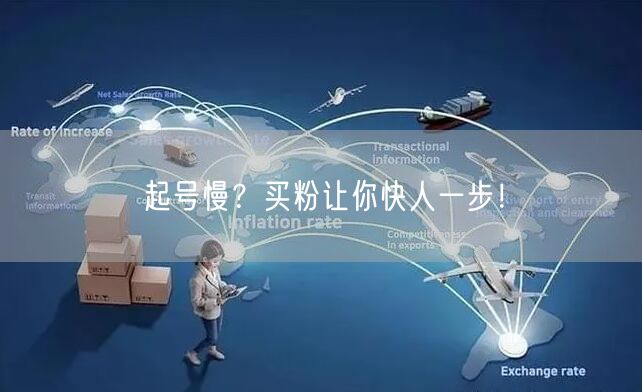 起号慢？买粉让你快人一步！