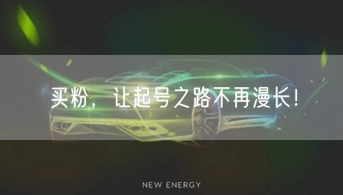 买粉，让起号之路不再漫长！