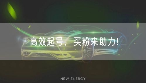 高效起号，买粉来助力！