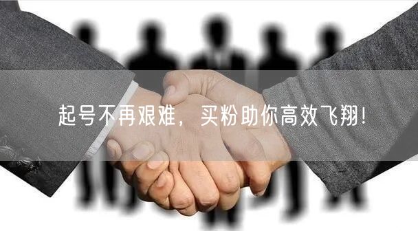 起号不再艰难，买粉助你高效飞翔！