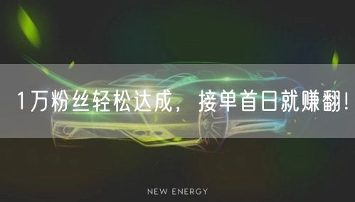 1万粉丝轻松达成，接单首日就赚翻！