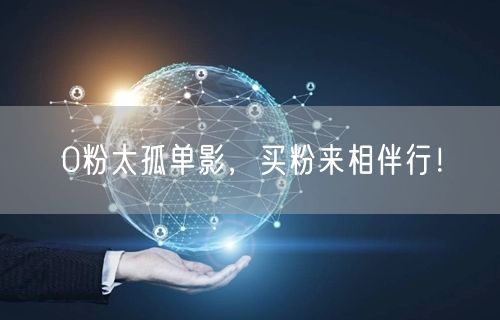 0粉太孤单影，买粉来相伴行！