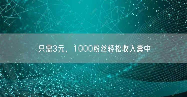 只需3元，1000粉丝轻松收入囊中
