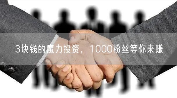 3块钱的魔力投资，1000粉丝等你来赚