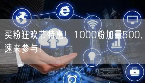 买粉狂欢节特惠！1000粉加量500，速来参与！
