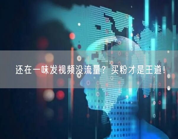 还在一味发视频没流量？买粉才是王道！