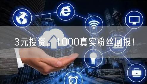 3元投资，1000真实粉丝回报！