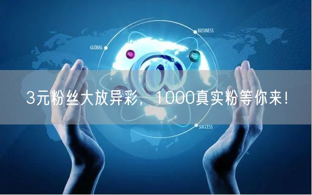 3元粉丝大放异彩，1000真实粉等你来！