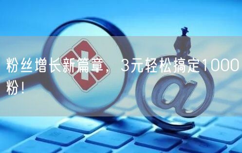 粉丝增长新篇章，3元轻松搞定1000粉！