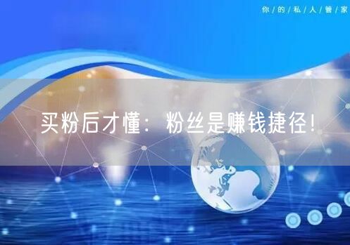 买粉后才懂：粉丝是赚钱捷径！