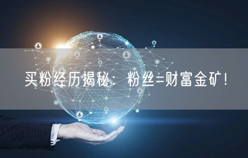 买粉经历揭秘：粉丝=财富金矿！