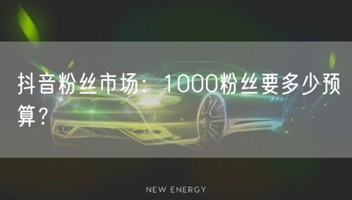抖音粉丝市场：1000粉丝要多少预算？
