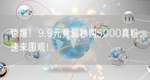 惊爆！9.9元竟能秒购5000真粉，速来围观！