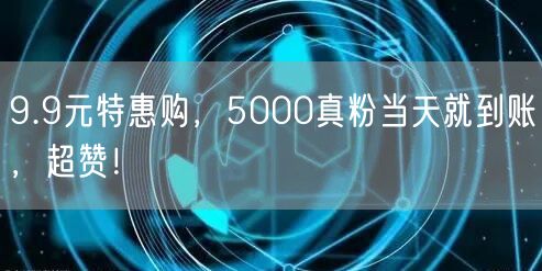 9.9元特惠购，5000真粉当天就到账，超赞！