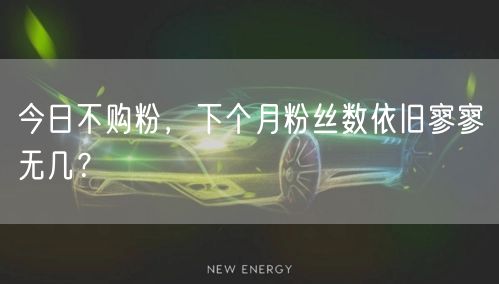 今日不购粉，下个月粉丝数依旧寥寥无几？