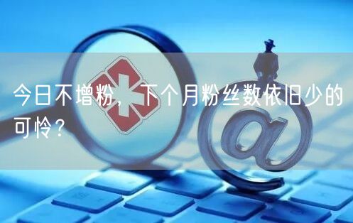 今日不增粉，下个月粉丝数依旧少的可怜？