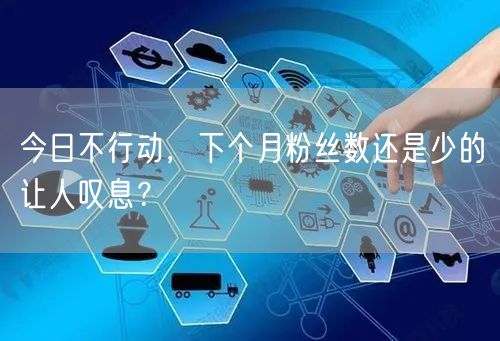 今日不行动，下个月粉丝数还是少的让人叹息？