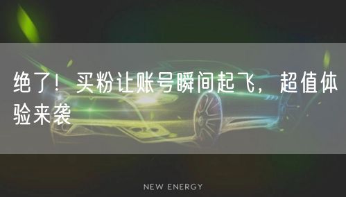 绝了！买粉让账号瞬间起飞，超值体验来袭