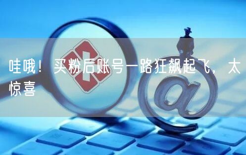 哇哦！买粉后账号一路狂飙起飞，太惊喜