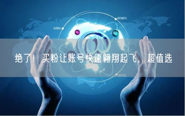 绝了！买粉让账号快速翱翔起飞，超值选
