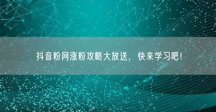 抖音粉网涨粉攻略大放送，快来学习吧！