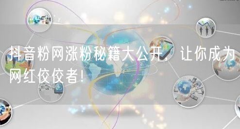 抖音粉网涨粉秘籍大公开，让你成为网红佼佼者！