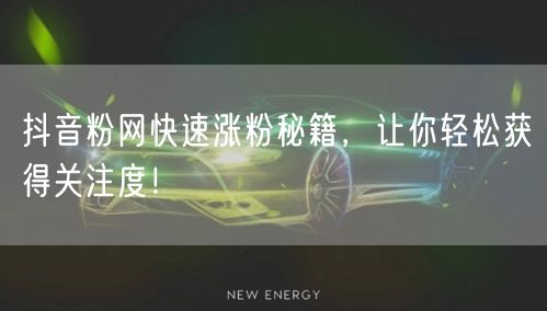抖音粉网快速涨粉秘籍，让你轻松获得关注度！