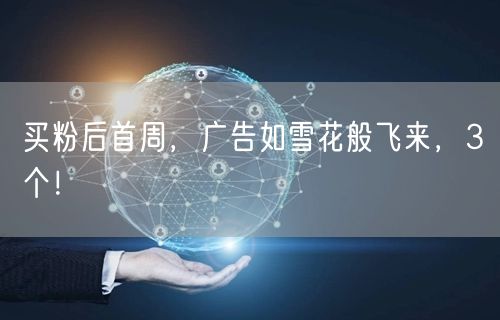 买粉后首周，广告如雪花般飞来，3个！