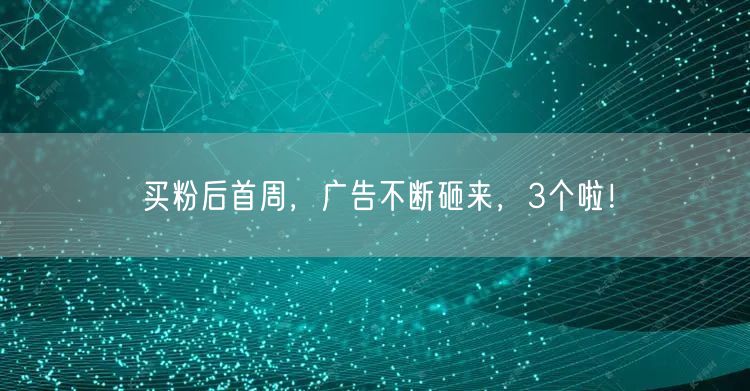 买粉后首周，广告不断砸来，3个啦！