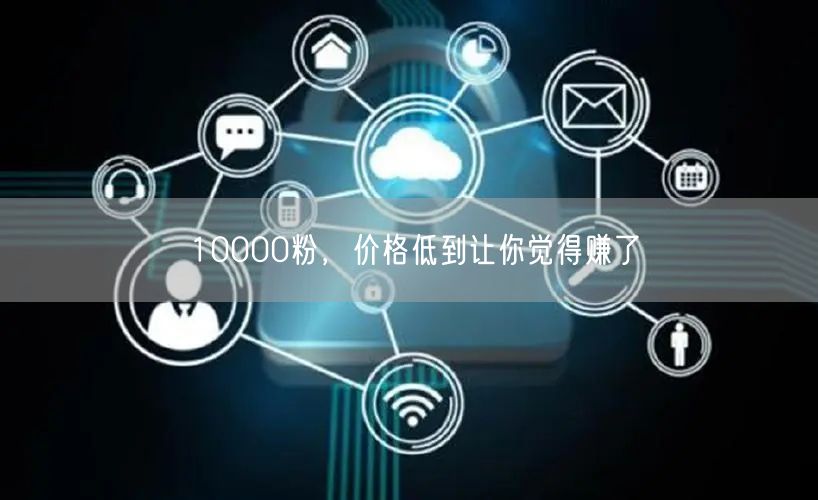 10000粉，价格低到让你觉得赚了