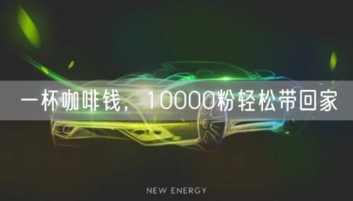 一杯咖啡钱，10000粉轻松带回家