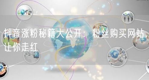 抖音涨粉秘籍大公开：粉丝购买网站，让你走红